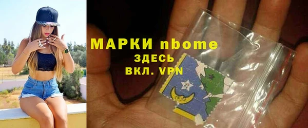 гашик Алексин