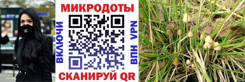 Галлюциногенные грибы мицелий  купить наркотик  нарко площадка формула  Орёл  KRAKEN сайт 